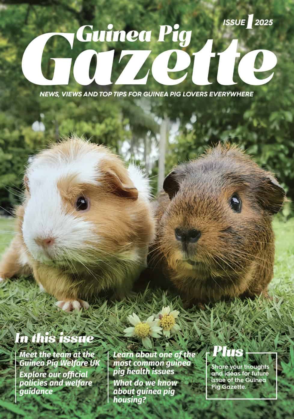 Guinea Pig Gazette