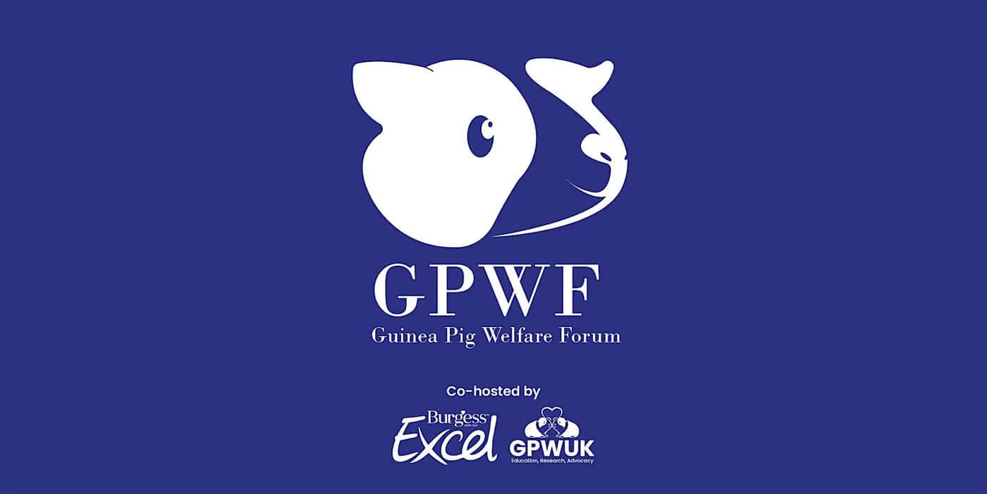 Featured image for Join Us at the 2026 Guinea Pig Forum
